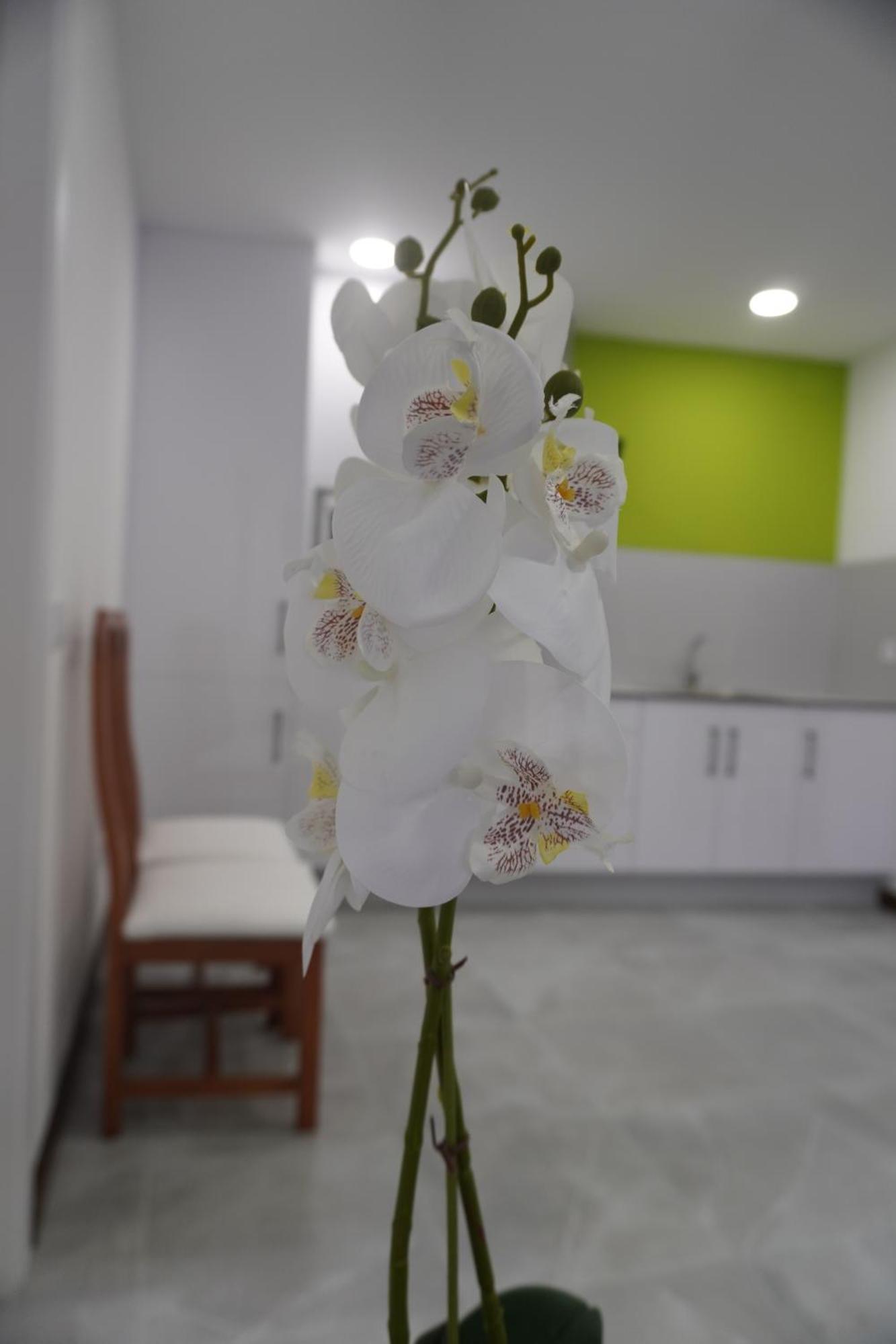 Apartamento Sanin 3 Lumbrales Bagian luar foto